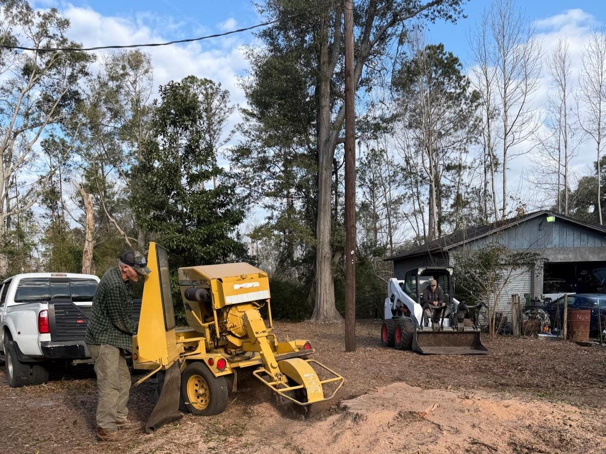 El Costeño Tree Service LLC